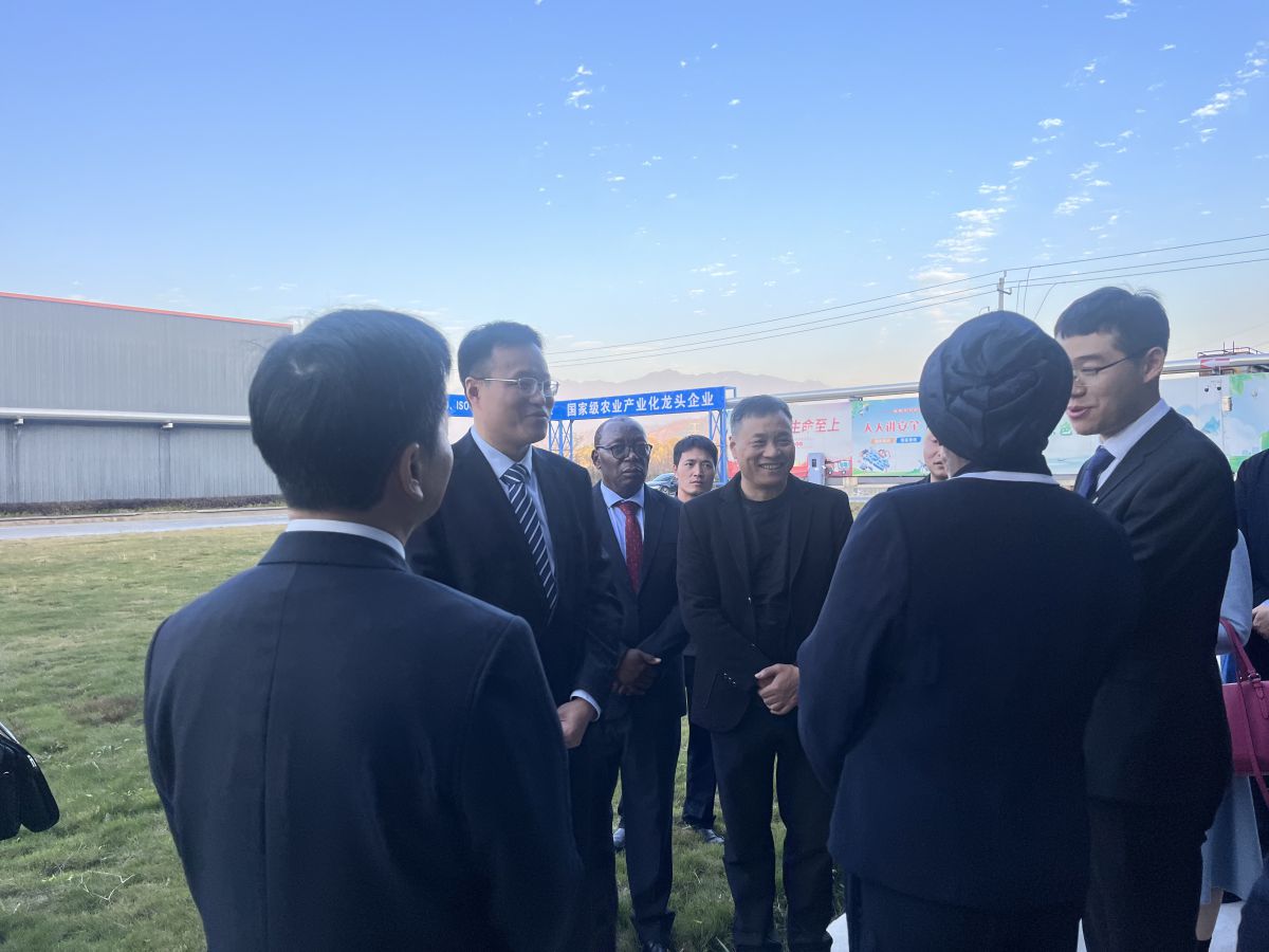 微信图片_20251129174730_53_255